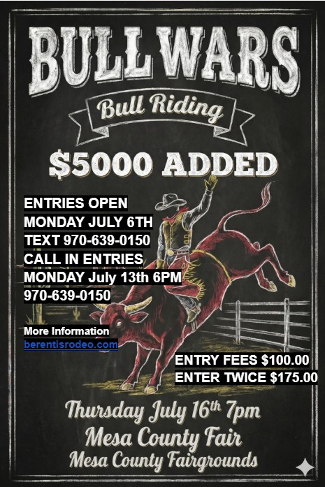 Bull Wars Poster