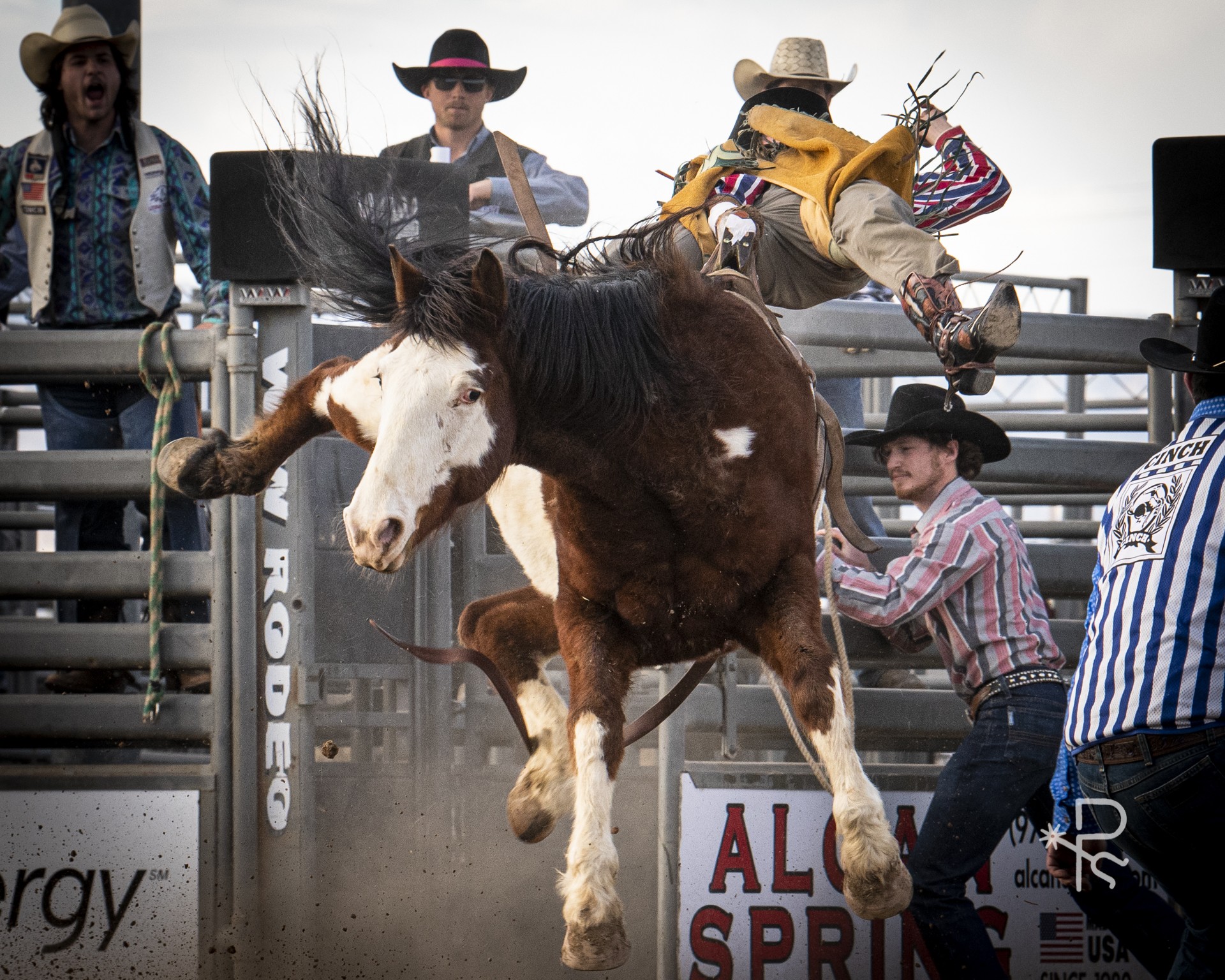 College Rodeo Bucking Action
